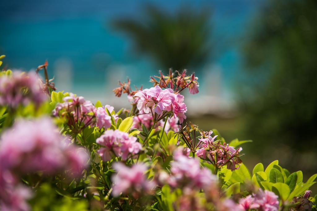 Krouzeri Beach Apartments Nisaki  Oda fotoğraf
